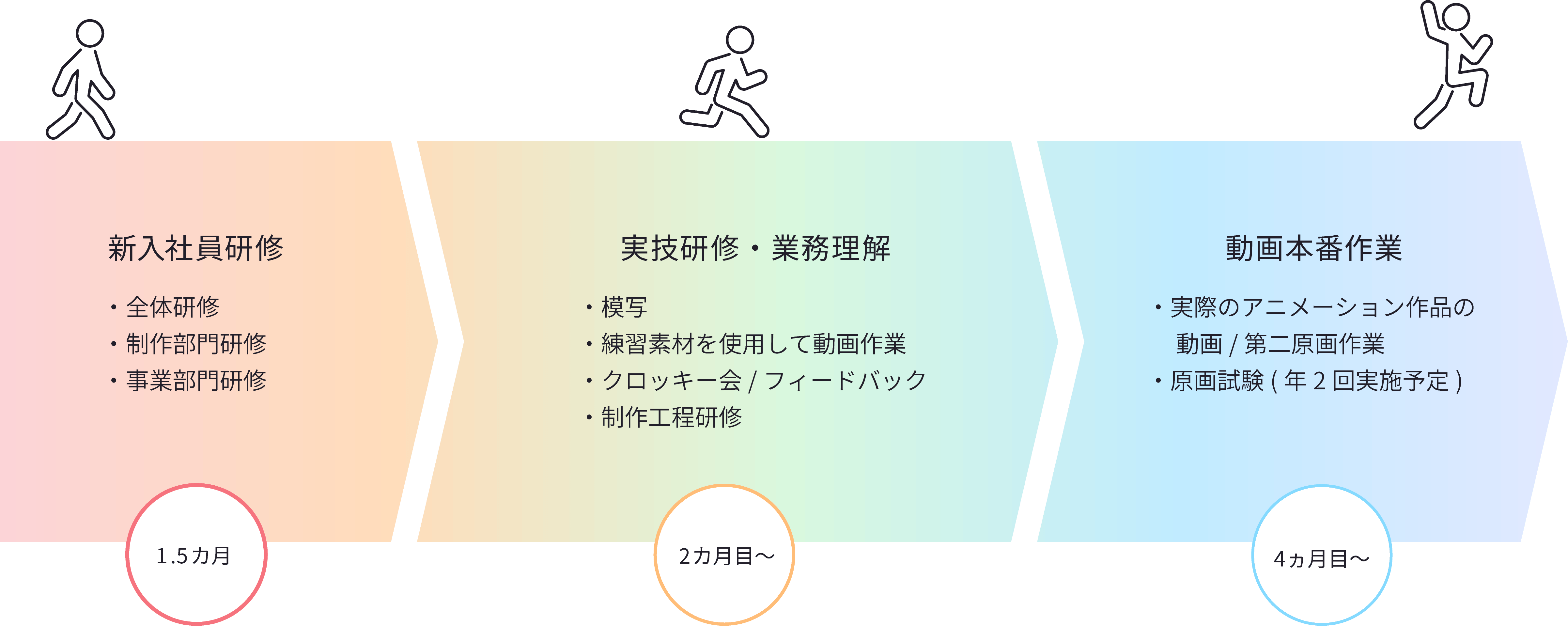 入社後のキャリアステップ図。1.5カ月の新入社員研修（全体研修・制作部門研修・事業部門研修）から始まり、2カ月目以降は実技研修・業務理解（模写、練習素材を使用した動画作業、クロッキー会・フィードバック、制作工程研修）を行い、4カ月目以降は動画本番作業として実際のアニメーション作品の動画・第二原画作業を担当します。原画試験は年2回実施予定です。
