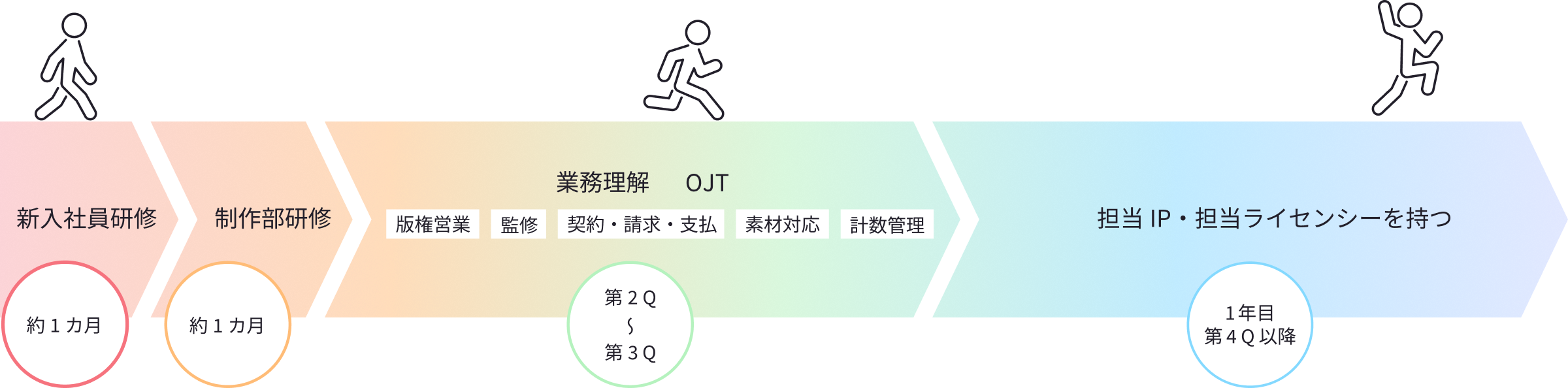 入社1年目の研修から担当IPを持つまでのスケジュール。新入社員研修、制作部研修、OJTを経て、第4四半期以降に独り立ちする流れをステップ別に図解しています。
