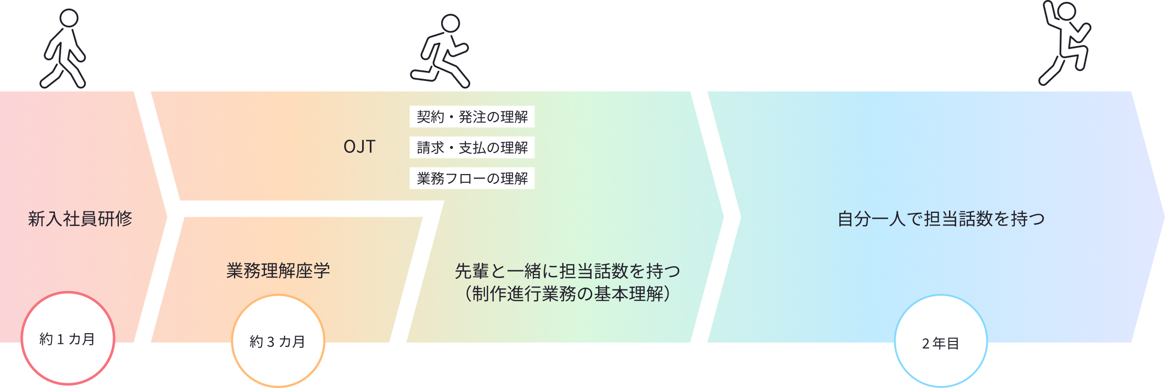 入社1年目のキャリアステップ図。約1カ月の新入社員研修から始まり、約3カ月の業務理解座学、OJT（契約・発注・請求・支払・業務フローの理解）、先輩と一緒に担当話数を持つ期間を経て、2年目から自分一人で担当話数を持つまでの流れを解説しています。