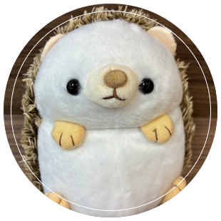 M.A スタッフ紹介
