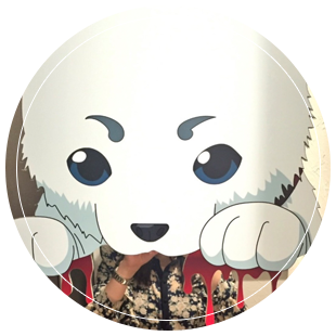 Y.C スタッフ紹介
